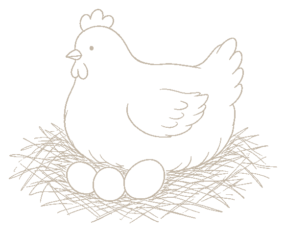 Hen on a nest